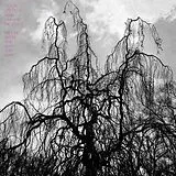 Colin & Neufeld,Sarah Stetson Vinyl Never Were The Way She Was (Vinyl)