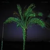Land Of Kush LP (analog) Sand Enigma