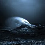 Mark Molnar Vinyl exo