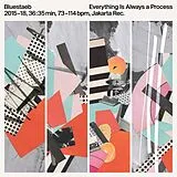 Bluestaeb Vinyl Everything Is Always A Process