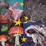 Various Artists LP (analog) All Things Considered Vol.2