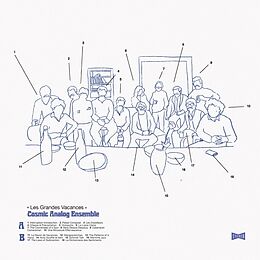 Cosmic Analog Ensemble Vinyl Les Grandes Vacances