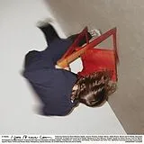 S. Fidelity Vinyl I Guess I'll Never Learn