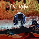 Mr. Käfer LP (analog) Lost Reflections/orientation