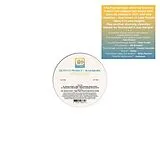 Quintus Project & Marsmobil LP (analog) Llewellyn/psychemagik Remixes 12" Ep