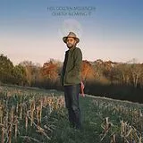 Hiss Golden Messenger LP (analog) Quietly Blowing It