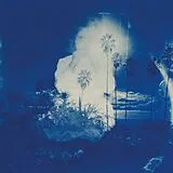 Fruit Bats Vinyl A River Running To Your Heart