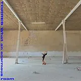 Torres LP (analog) What An Enormous Room