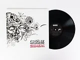 Orgone LP (analog) Chimera
