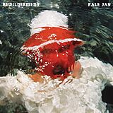 Pale Jay Vinyl Bewilderment (seafoam Green Vinyl)