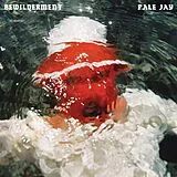 Pale Jay LP (analog) Bewilderment (seafoam Green Vinyl)