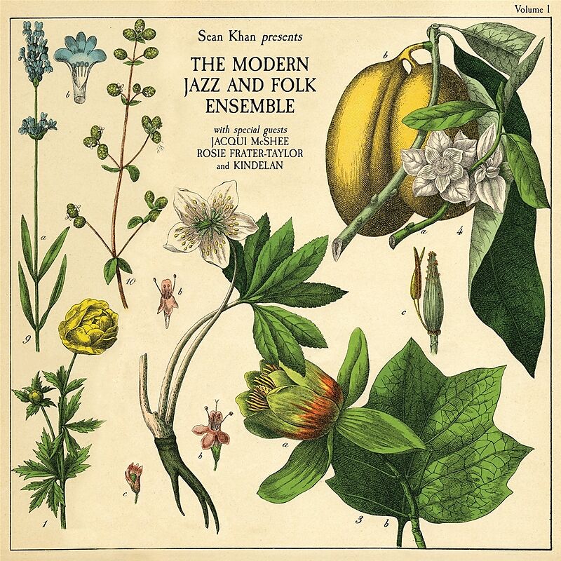 Sean Khan Presents The Modern Folk & Jazz Ensemble (Vinyl)