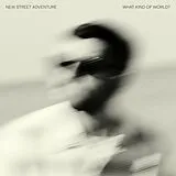 New Street Adventure Feat. Nick Corbin Vinyl What Kind Of World?