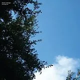 Cloud Nothings Vinyl Turning On (10th Anniversary E