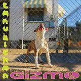 Tanukichan Vinyl Gizmo (black Vinyl,Insert With Lyrics,Download Cod