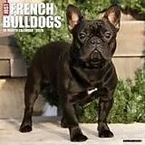 Kalender French Bulldogs 2026 Wall Calendar von Willow Creek Press