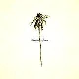 Patrick Watson Vinyl Wooden Arms