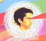Delicate Steve CD Wondervisions