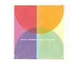David Grubbs, Ryley Walker LP (analog) A Tap On The Shoulder