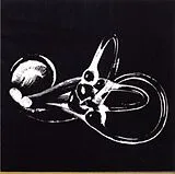 Skeleton Key CD Obtainium