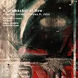 Alexander/John,Chinwe D Chance CD Susani: A Screenshot Of Now