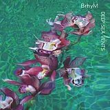 Brhym Vinyl Deep Sea Vents