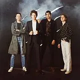 Public Access TV Vinyl Street Safari (Vinyl)