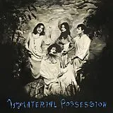 Immaterial Possession LP (analog) Immaterial Possession