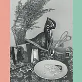 Vincent Over The Sink LP (Vinyl) 22 Coloured Bull-Terriers (Vinyl)