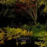 14 Iced Bears LP (analog) Wonder