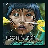 Yawning Man LP (analog) Historical Graffiti