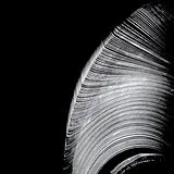 Near The Parenthesis LP (analog) Helical