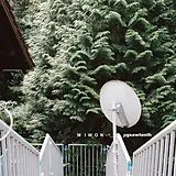 Miwon CD Jigsawtooth
