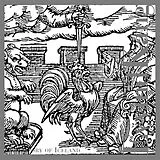 Eyvind Kang CD Story Of Iceland