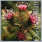 Christian -Performed by Wolff CD Burdocks