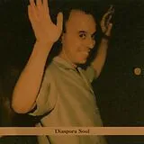 Steven Bernstein CD Diaspora Soul