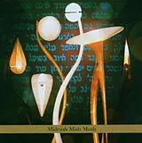 Aaron Alexander CD Midrash Mish Mosh