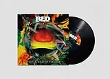Red Lorry Yellow Lorry LP (analog) Strange Kind Of Paradise