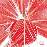 Lee & Christian Marcla Okkyung LP (Vinyl) Amalgam (Vinyl)