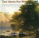 Andrew Day, Judith Pearce CD Klarinettenquintett Op.34 B-Dur/Flötentrio G-Moll