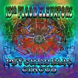 13TH Floor Elevators CD Psychedelic Circus