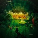 Green Desert Water CD Solar Plexus