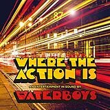 The Waterboys LP (analog) Where The Action Is