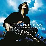 The Waterboys LP (analog) A Rock In The Weary Land (expanded Blue Colored Ed