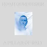 Noah Gundersen LP (analog) A Pillar Of Salt