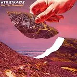 Stornoway LP (analog) Dig The Mountain!