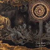 Kishi Bashi Vinyl Sonderlust