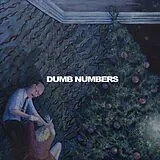 Dumb Numbers Vinyl Stranger Ep