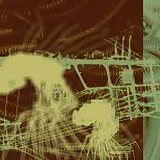 Cashier CD The Weight