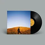 Burton Sam LP (analog) Dear Departed